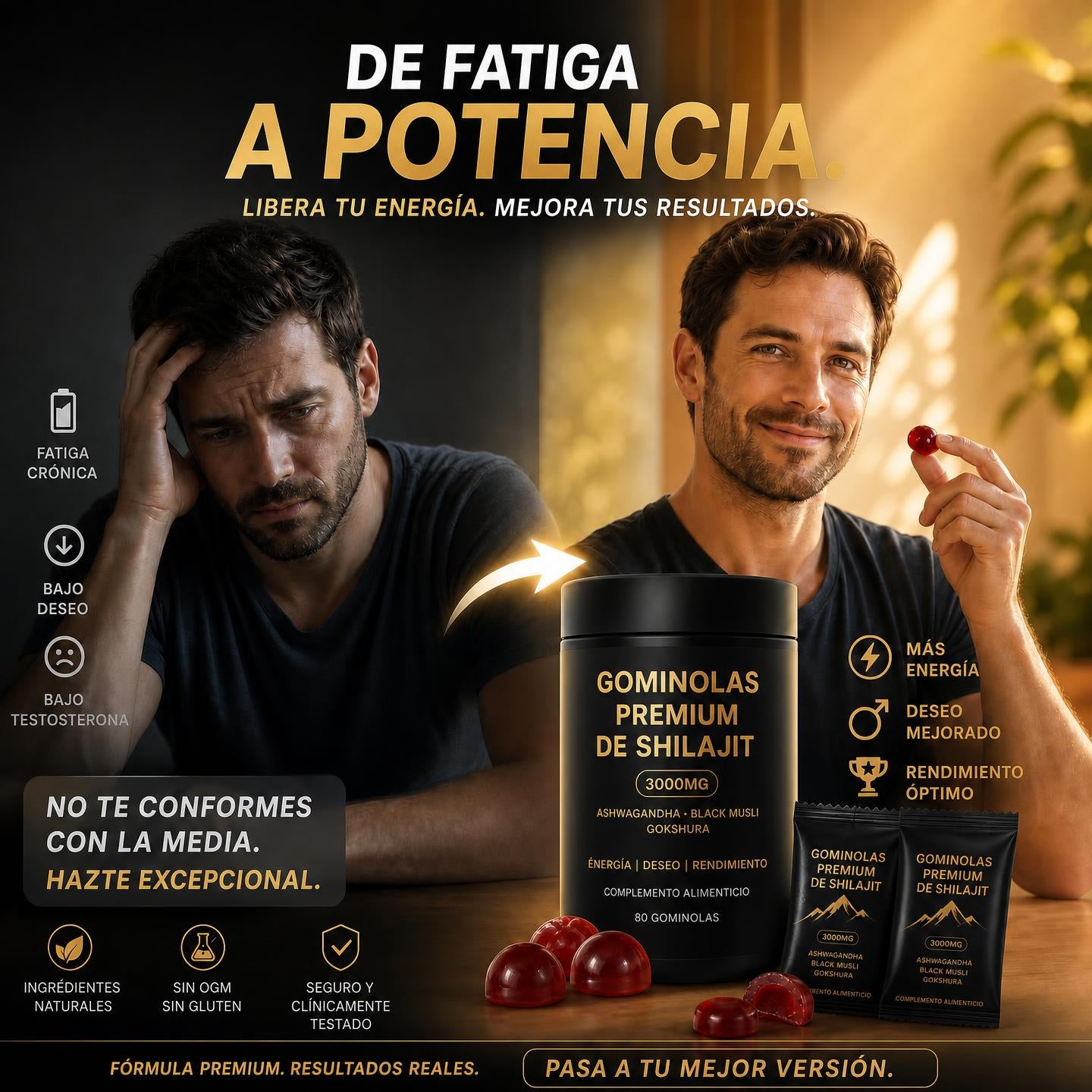 VitalShilajit